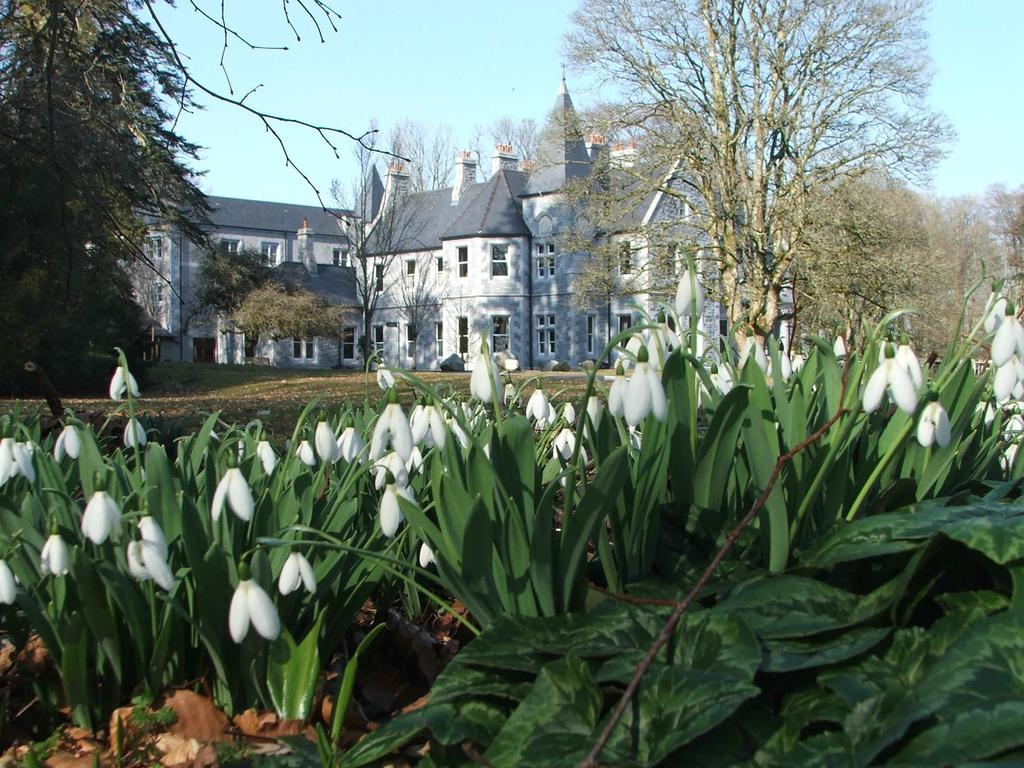 Hotel Mount Falcon Estate Ballina  Exterior foto