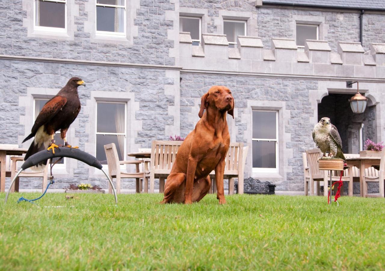 Hotel Mount Falcon Estate Ballina  Exterior foto